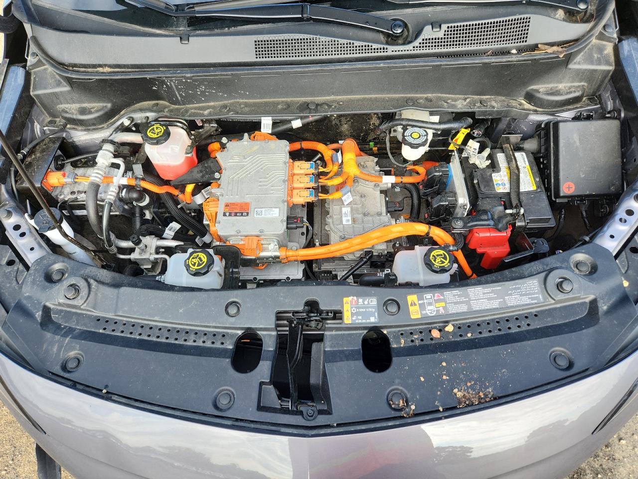 2023 Chevrolet Bolt Euv Premier VIN: 1G1FZ6S05P4107122 Lot: 62878745