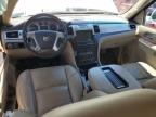 North Las Vegas, NV에서 판매 중인 2012 Cadillac Escalade Premium   - Side