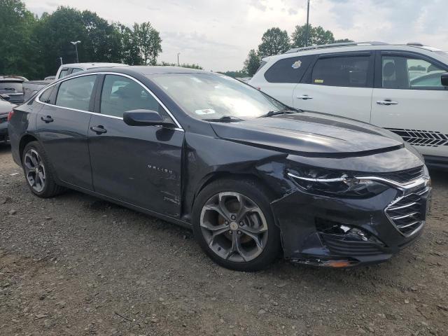  CHEVROLET MALIBU 2023 Gray