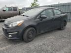 2017 KIA RIO EX   for sale at Copart ON - OTTAWA