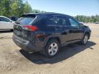 2019 TOYOTA RAV4 XLE   for sale at Copart ON - COOKSTOWN
