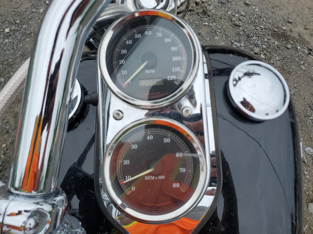 2003 Harley-Davidson Fxdl VIN: 1HD1GDV133K302480 Lot: 62585435