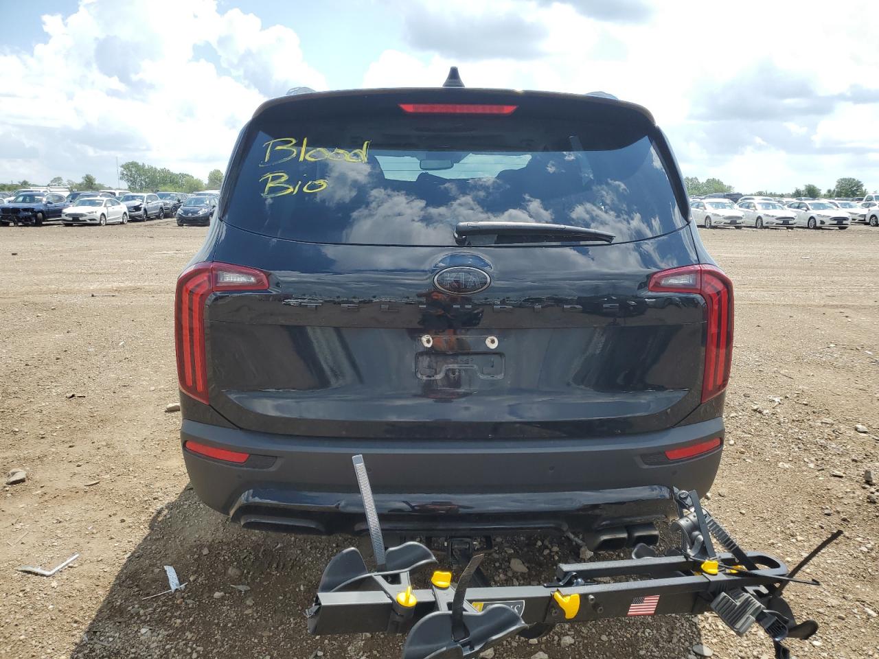 2021 Kia Telluride Sx VIN: 5XYP5DHC5MG186446 Lot: 62232505