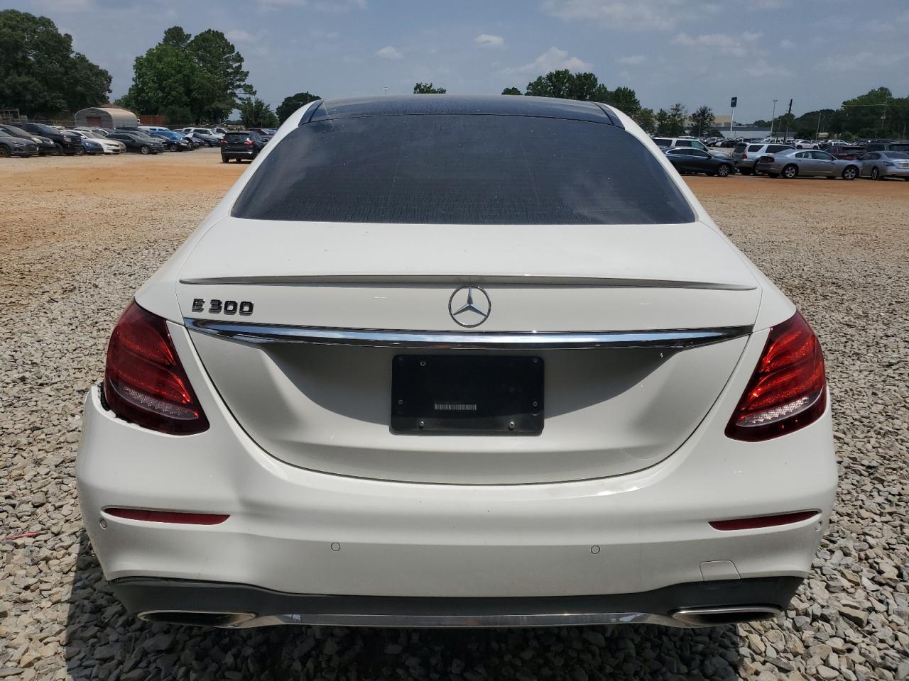 2019 Mercedes-Benz E 300 VIN: WDDZF4JB8KA645219 Lot: 59702515