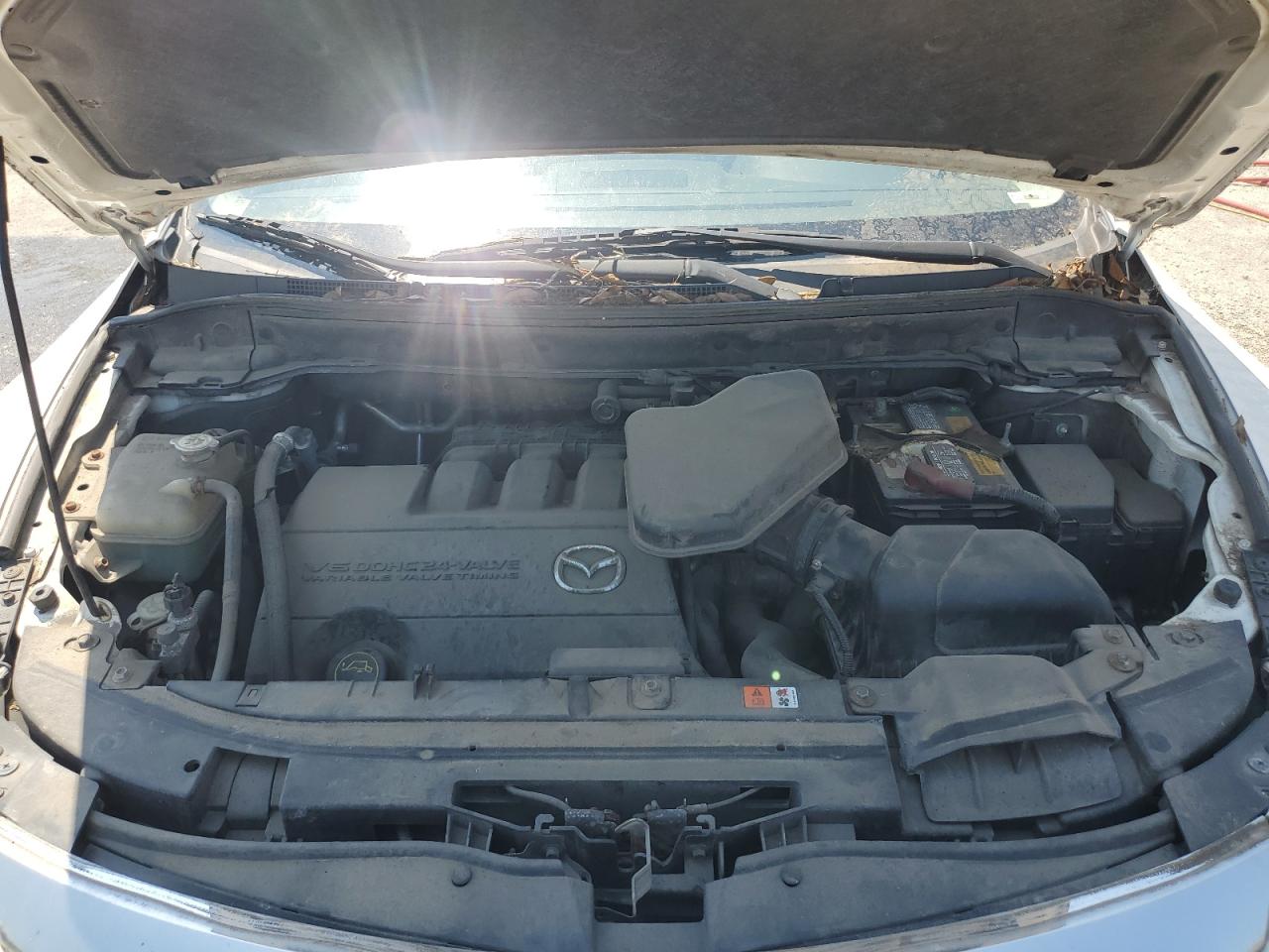2011 Mazda Cx-9 VIN: JM3TB2DA3B0311924 Lot: 61596035