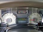 Houston, TX에서 판매 중인 2014 Ford Expedition Limited - Rear End