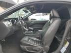 2005 Ford Mustang Gt for Sale in Rancho Cucamonga, CA - Front End