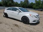 2012 Hyundai Sonata Gls for Sale in Seaford, DE - Rear End