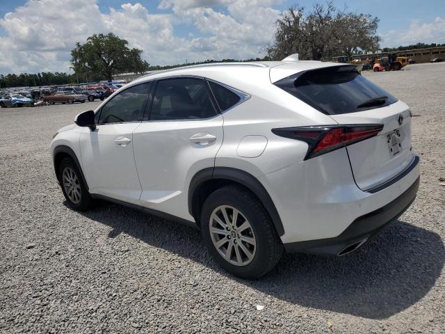  LEXUS NX 2020 Biały