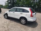 2010 Honda Cr-V Lx   na sprzedaż w Cicero, IN - Front End