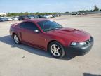 2003 Ford Mustang  for Sale in Orlando, FL - Rear End