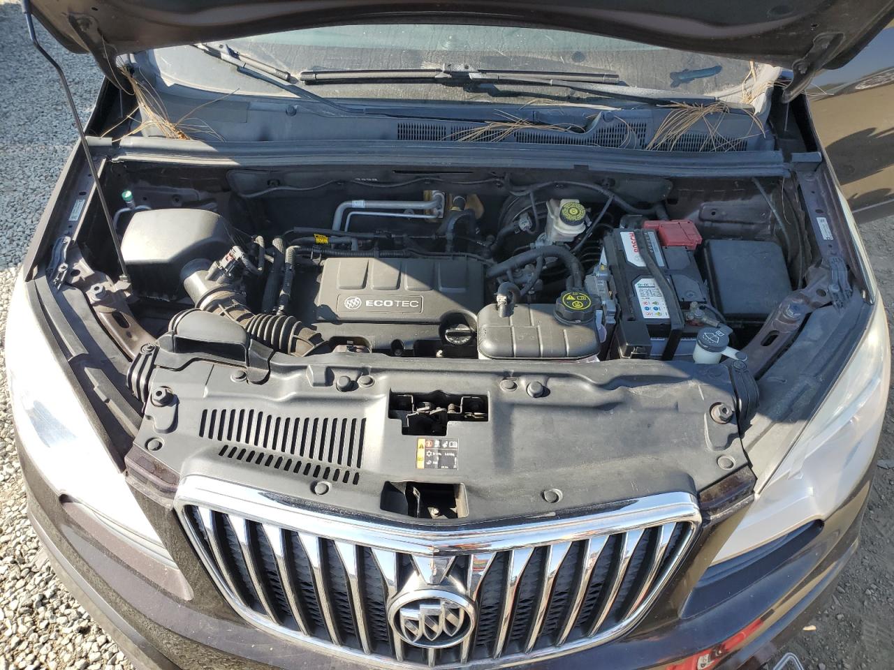 2014 Buick Encore VIN: KL4CJCSB6EB738207 Lot: 62429345