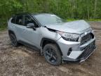 2021 TOYOTA RAV4 XLE   à vendre chez Copart ON - COOKSTOWN