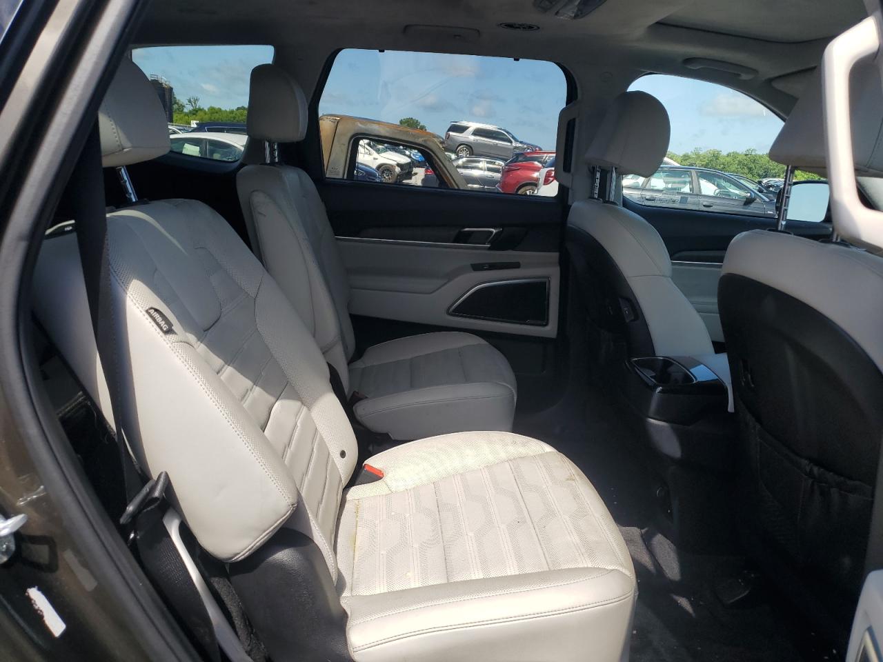 2023 Kia Telluride Sx VIN: 5XYP5DGC5PG387088 Lot: 60807605