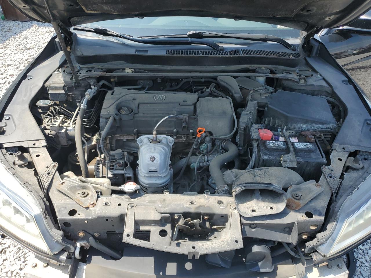 2017 Acura Tlx VIN: 19UUB1F32HA008529 Lot: 62456035