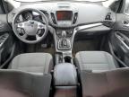 2014 Ford Escape Se for Sale in Memphis, TN - Normal Wear