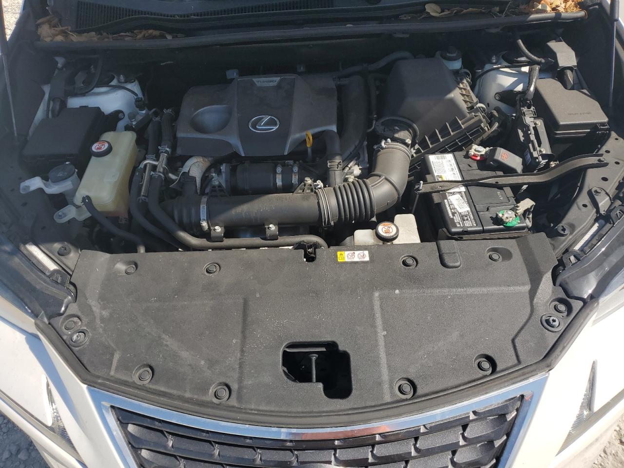 2019 Lexus Nx 300 Base VIN: JTJYARBZ7K2155682 Lot: 61684285