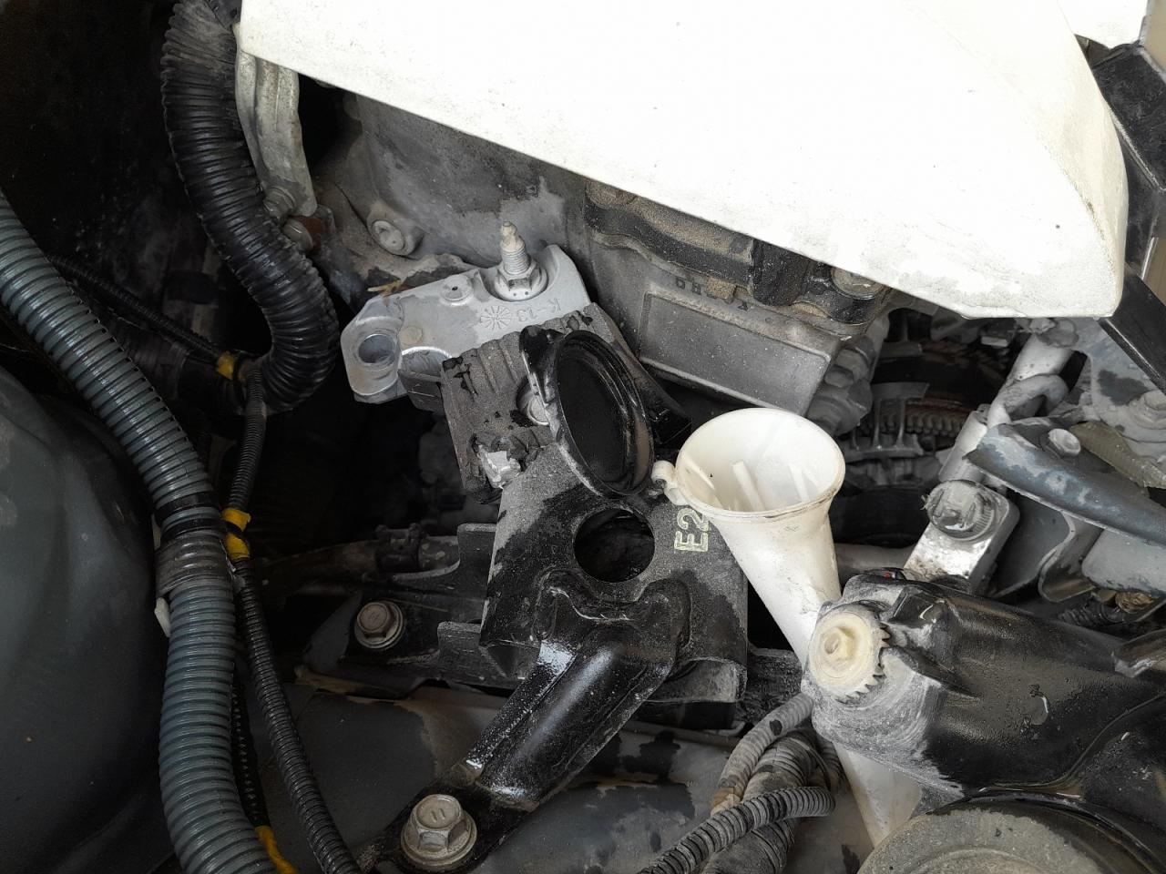 MR2B29F32H1026719 - 2009 Toyota Yaris - #60761955