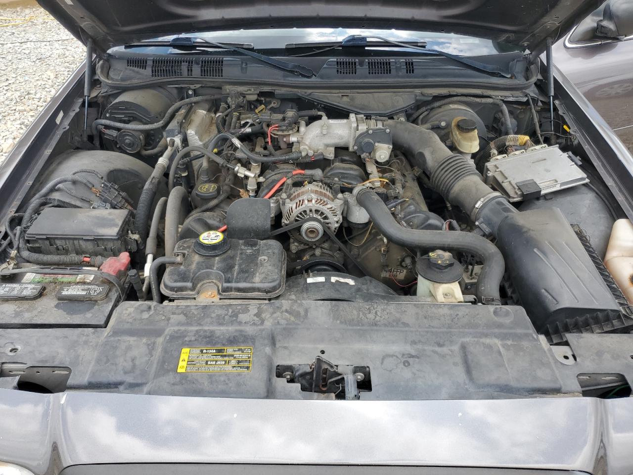 2008 Ford Crown Victoria Police Interceptor VIN: 2FAFP71V08X141453 Lot: 62392005