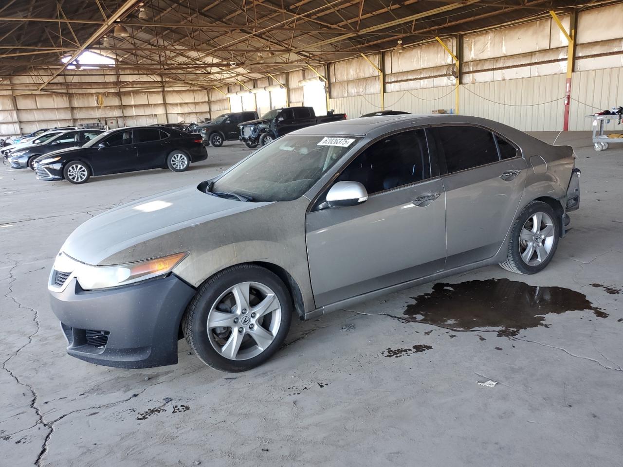 2010 Acura Tsx zu verkaufen in Phoenix, AZ - Rear End