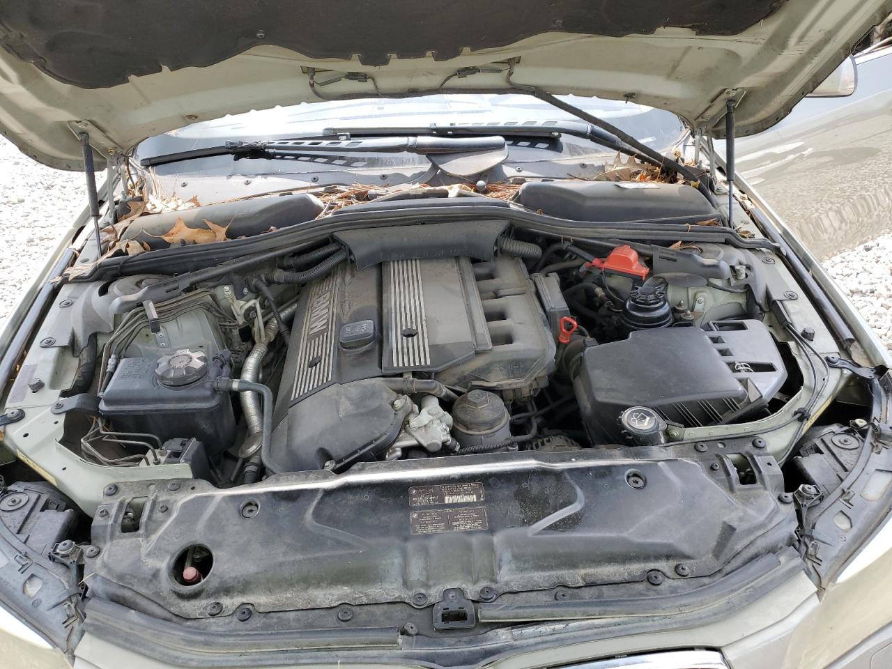 2005 BMW 530 I VIN: WBANA73585B818684 Lot: 64605745