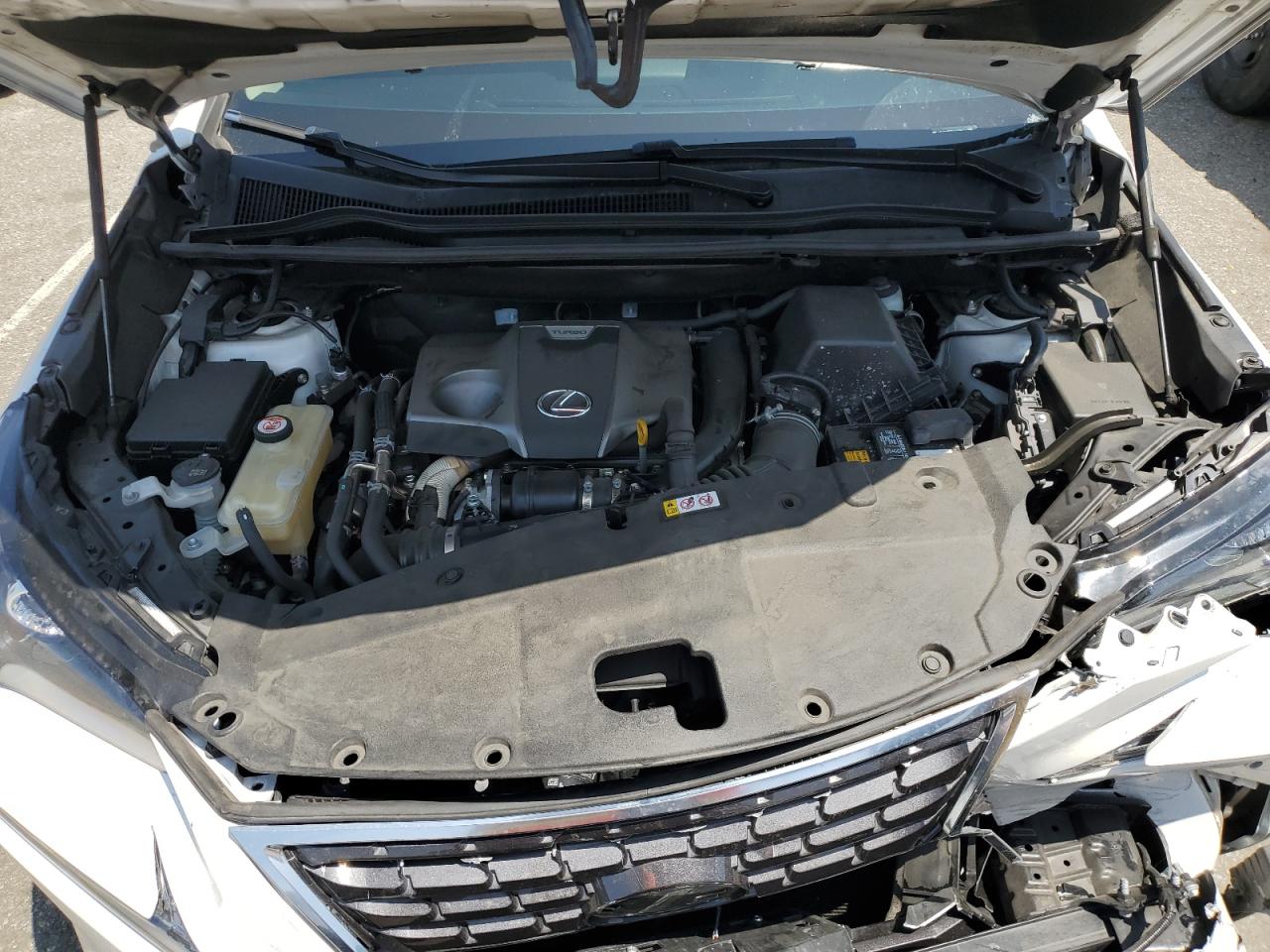 2020 Lexus Nx 300 VIN: JTJGARBZ1L5008124 Lot: 60742225