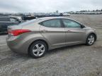 2013 Hyundai Elantra Gls продається в Earlington, KY - All Over