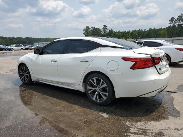 Седаны NISSAN MAXIMA 2017 Белы