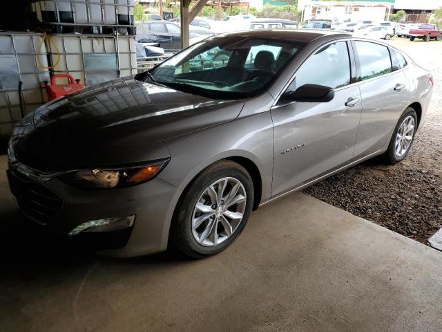  CHEVROLET MALIBU 2023 tan