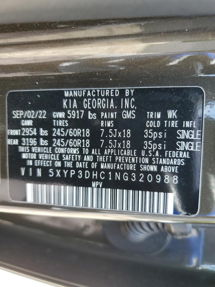 2022 Kia Telluride Ex VIN: 5XYP3DHC1NG320988 Lot: 60373925