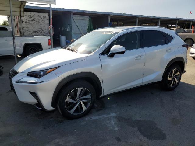  LEXUS NX 2019 Белы