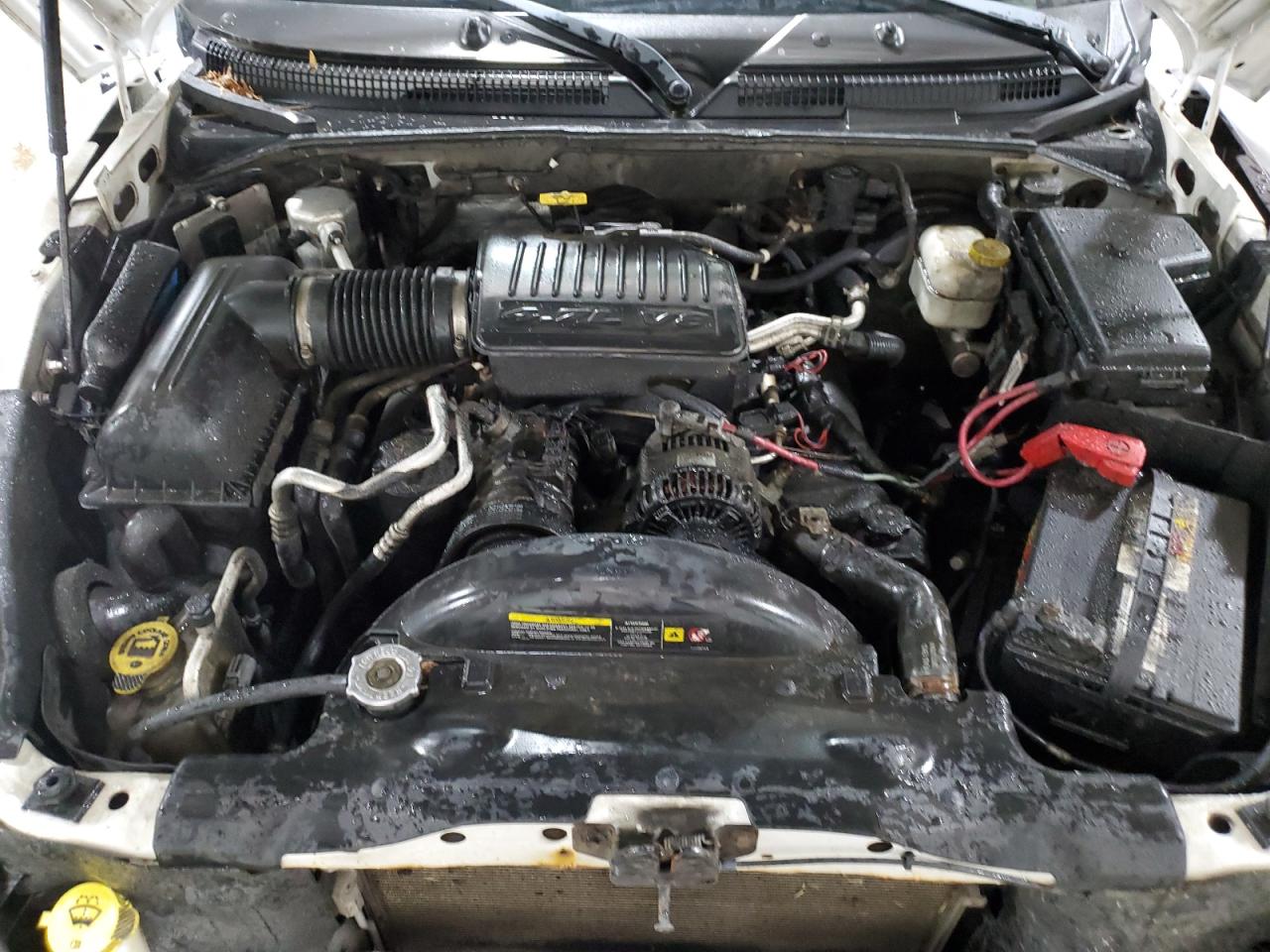 2006 Dodge Dakota Quad VIN: 1D7HW28N26S667037 Lot: 60736505