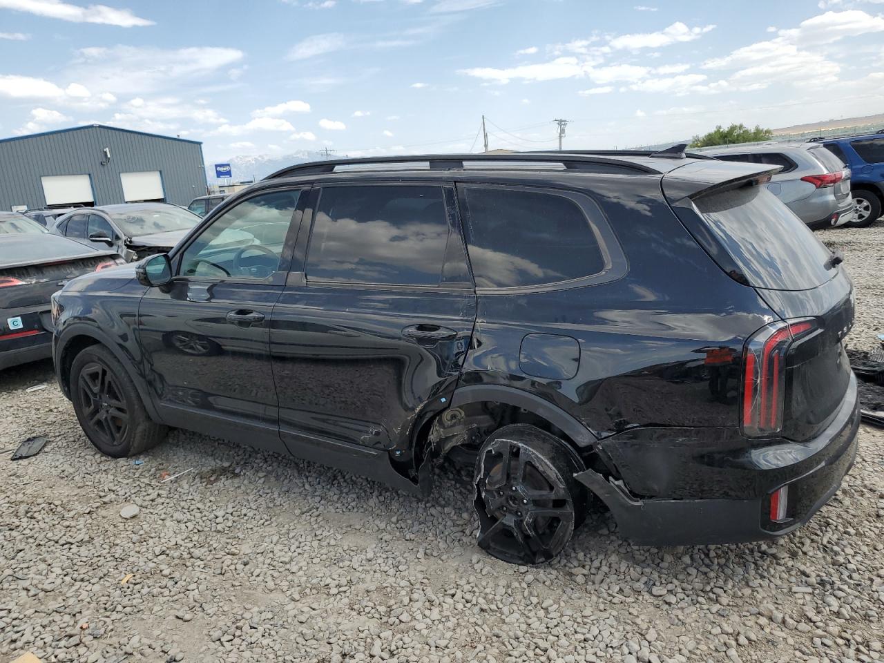 KIA TELLURIDE 2024 VIN 5XYP5DGC9RG441771 zdjęcie 2