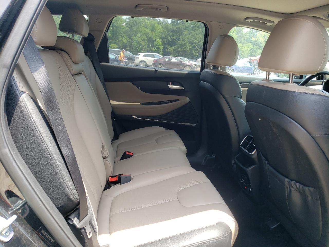 2020 Hyundai Santa Fe Limited VIN: 5NMS5CAD6LH259335 Lot: 62768185