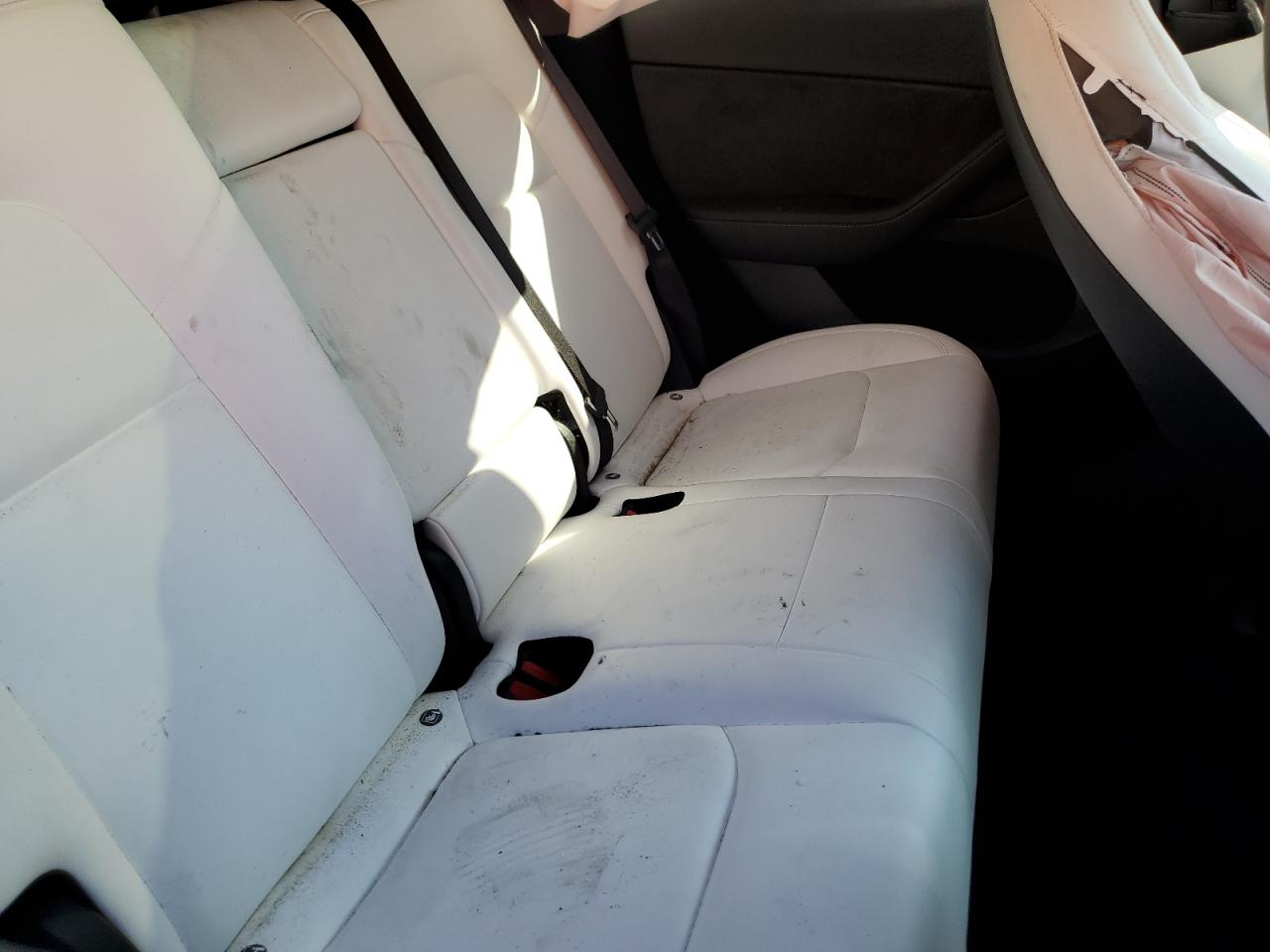 2024 Tesla Model Y VIN: 7SAYGDED7RF162680 Lot: 61991495