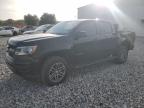2019 Chevrolet Colorado  for Sale in Apopka, FL - Hail