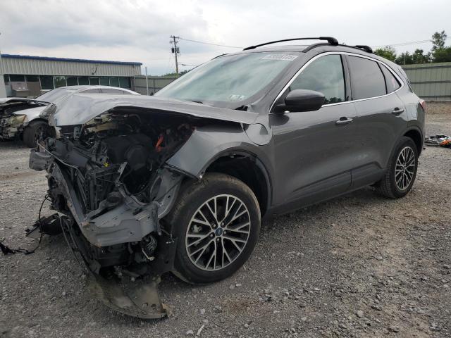  FORD ESCAPE 2022 Szary
