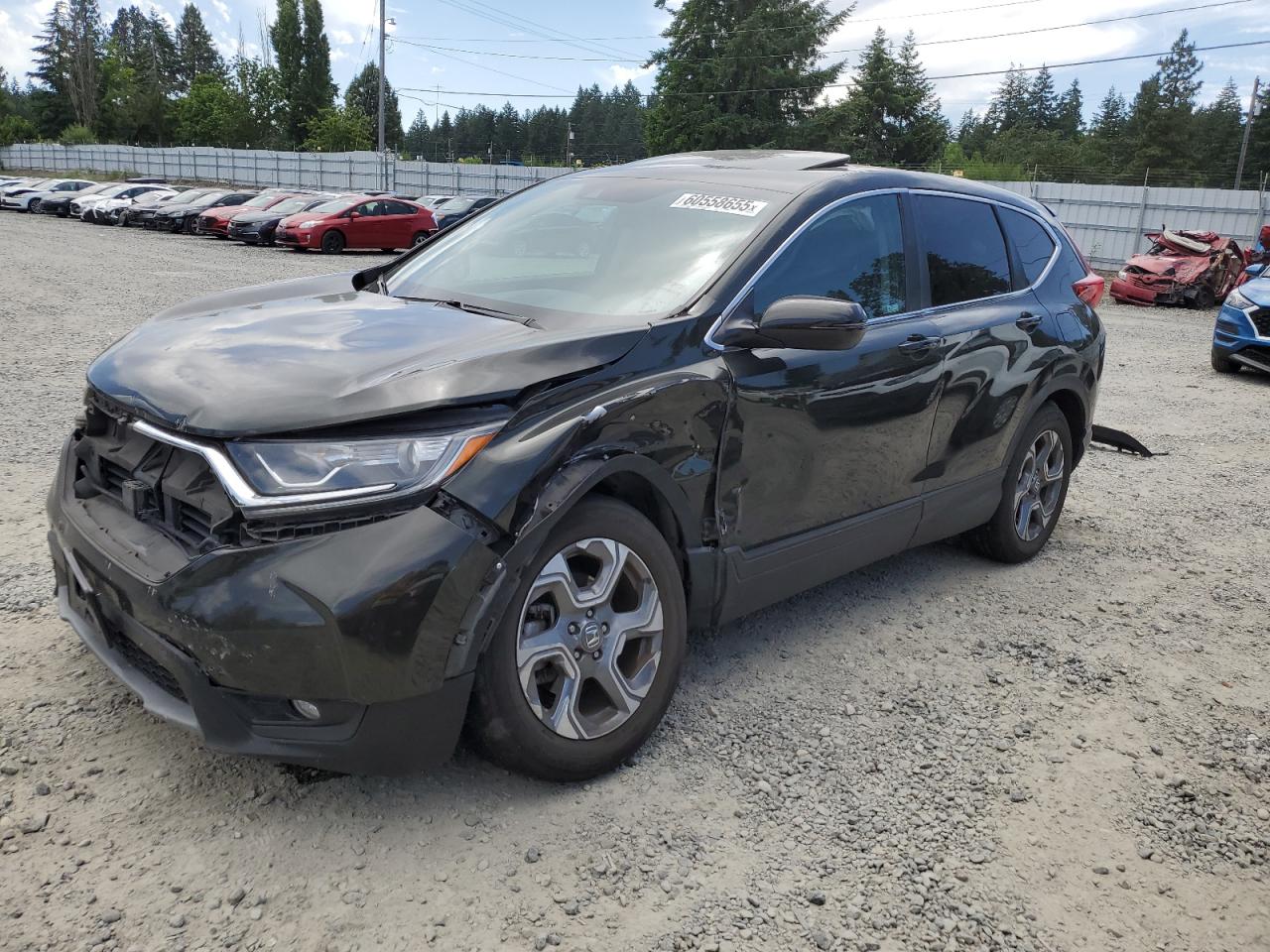 2018 Honda Cr-V Ex   за продажба в Graham, WA - Front End