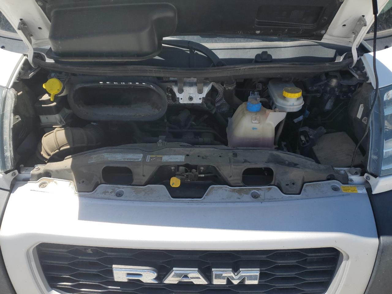 2019 Ram Promaster 1500 1500 Standard VIN: 3C6TRVAG7KE565603 Lot: 60540035