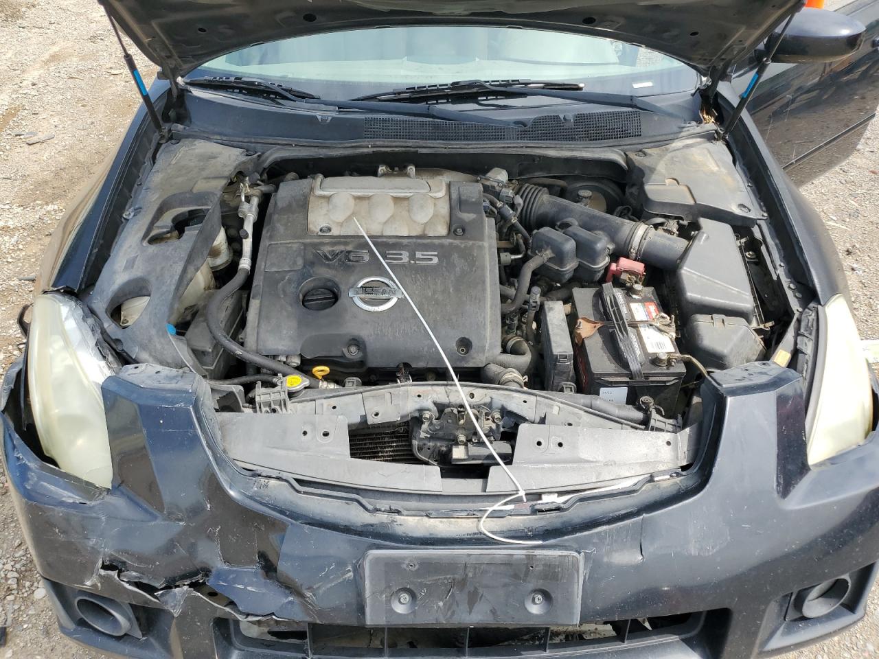 2007 Nissan Maxima Se VIN: 1N4BA41E37C823446 Lot: 60027745