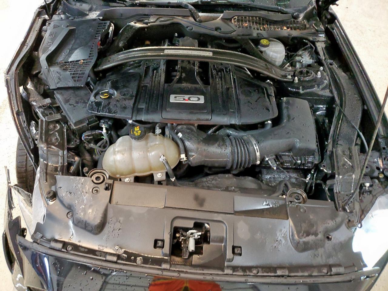 2021 Ford Mustang Gt VIN: 1FA6P8CFXM5131620 Lot: 62564055