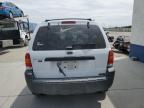 2005 Ford Escape Xlt   for Sale in Farr West, UT - Front End