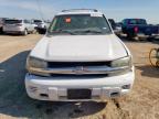 2008 Chevrolet Trailblazer Ls for Sale in Amarillo, TX - Rear End