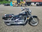 1999 HONDA VT1100 C2   for sale at Copart PA - PITTSBURGH WEST