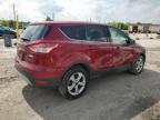 2014 Ford Escape Se   zu verkaufen in Indianapolis, IN - Side