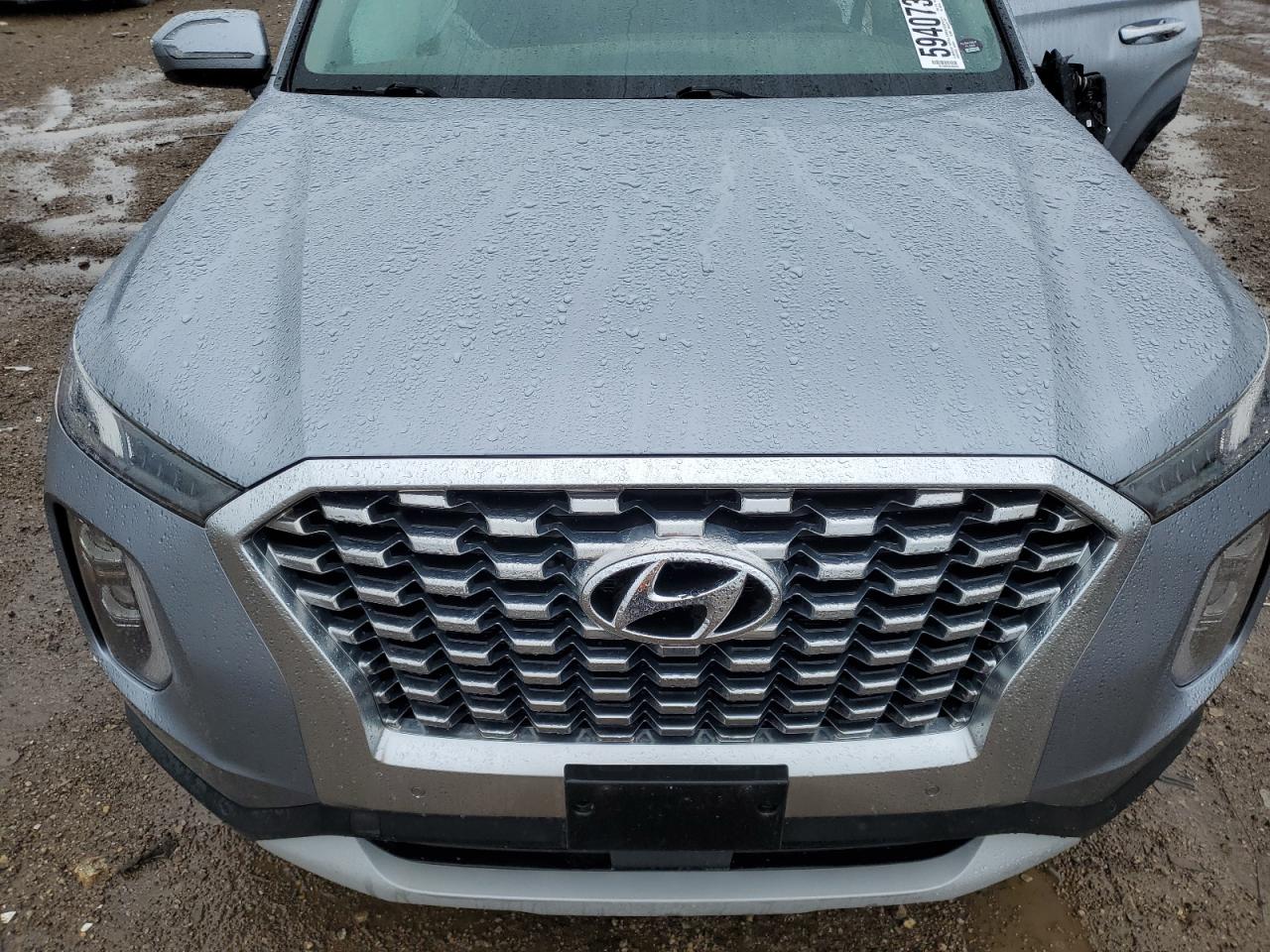 2020 Hyundai Palisade Sel VIN: KM8R4DHE6LU082148 Lot: 59407305