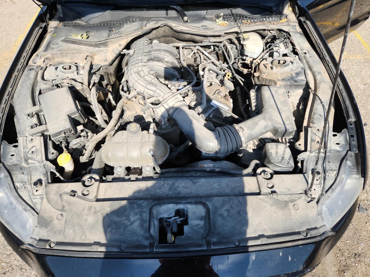 2017 Ford Mustang VIN: 1FA6P8AM3H5210084 Lot: 62187055