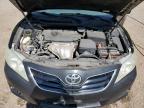 2010 TOYOTA CAMRY BASE   for sale at Copart ON - COOKSTOWN