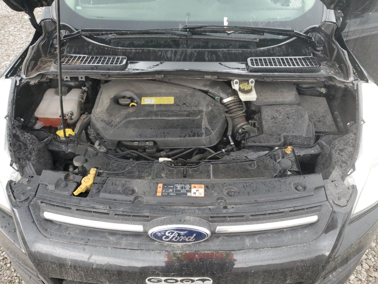 2014 Ford Escape Se VIN: 1FMCU0GX1EUC43803 Lot: 60541605