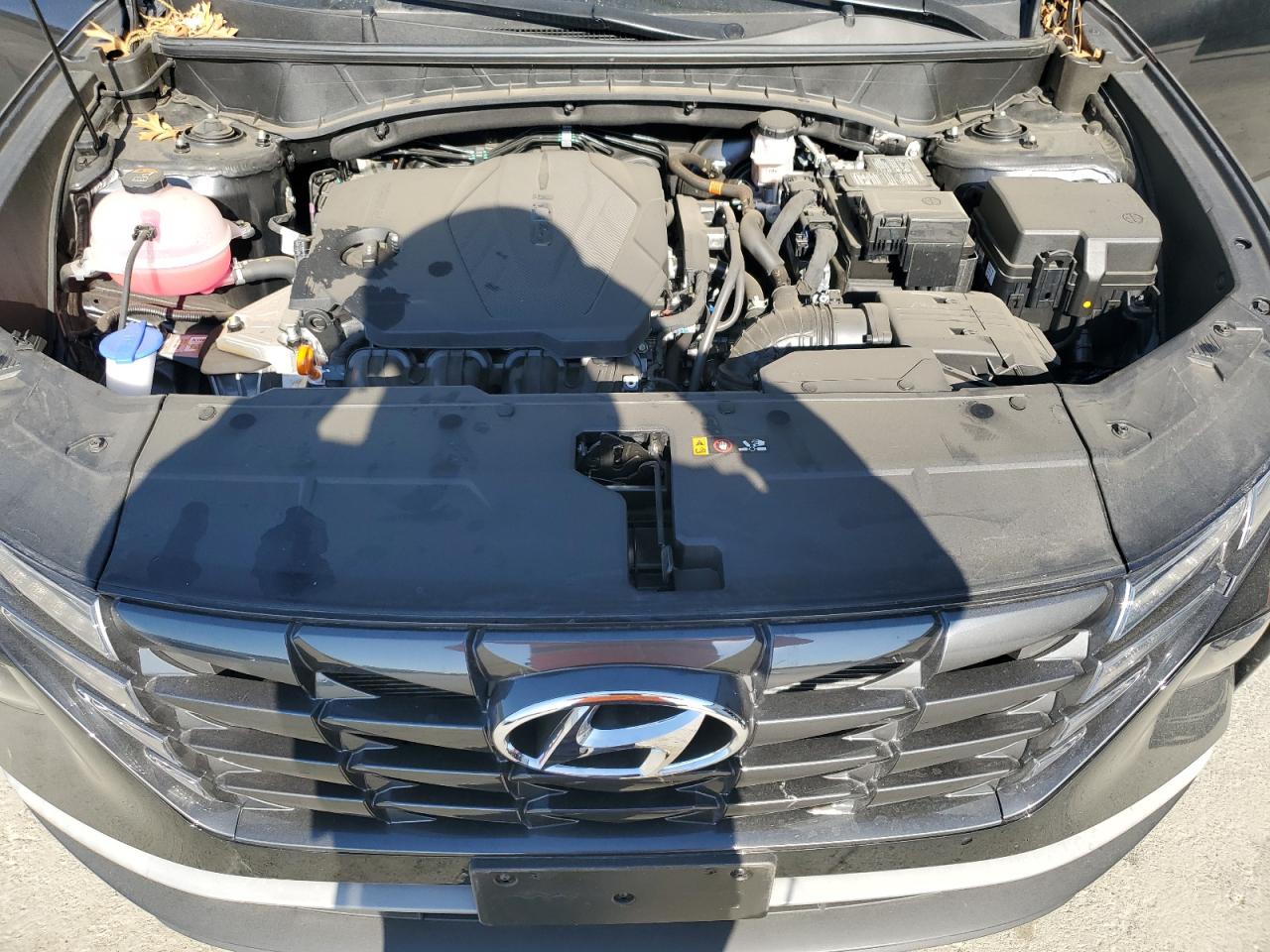 2024 Hyundai Tucson Sel VIN: 5NMJF3DE6RH308653 Lot: 62514565